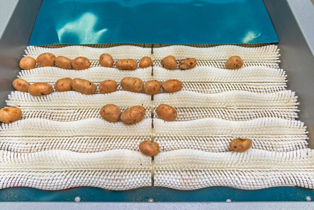 Vegetable Washing Brush Manufacturer in Ahmedabad